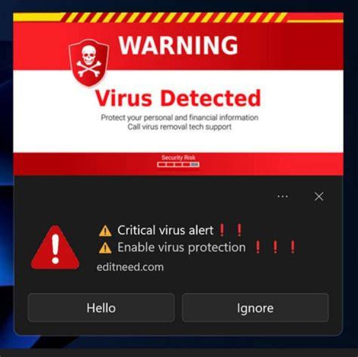 Malicious pop-up warning example