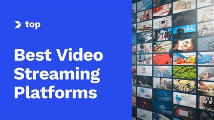 gomovies vs Paid Streaming: Pros, Cons, and What You Need to Know